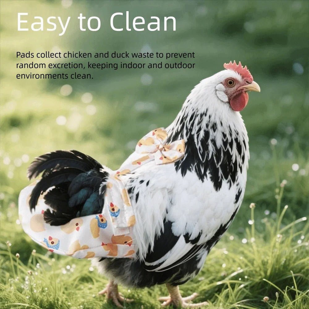 Chicken wearing a diaper with text about easy cleaning and waste collection.