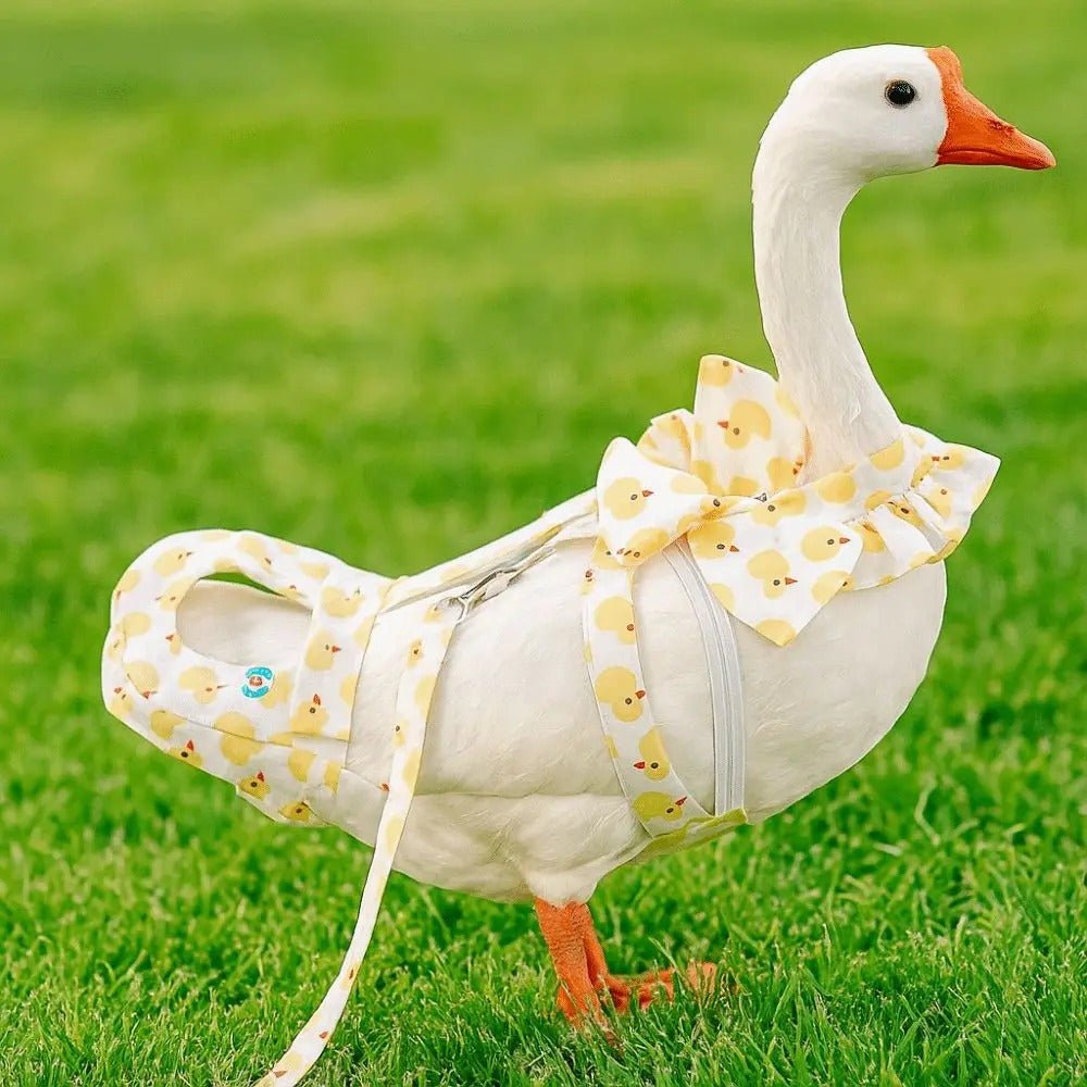White banana ducks goose wearing a yellow duck decor dress, diaper and leash on a grassy field