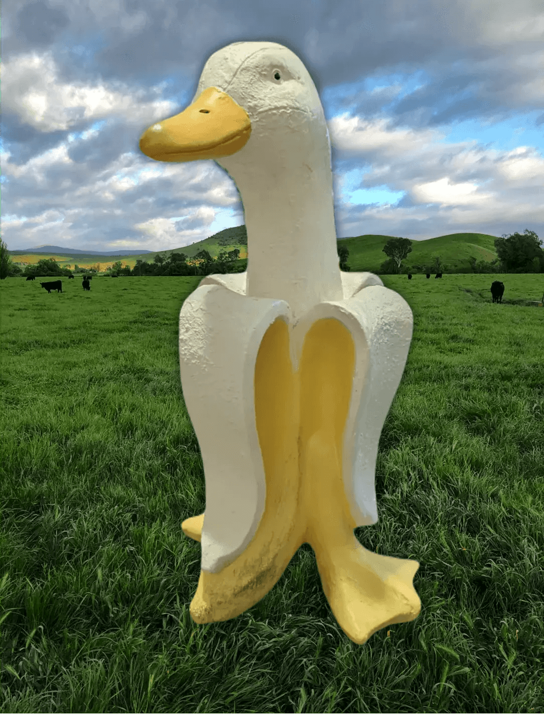 The Banana Duck Statue - Banana Duck