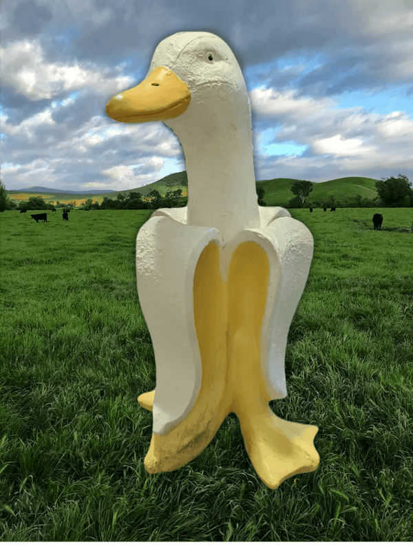 50cm Banana Duck Statue for garden and home decor