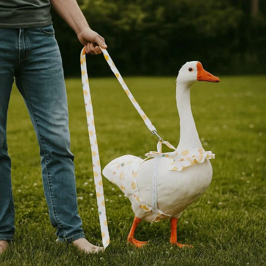 White goose on a banana ducks leash held by a person in a grassy area