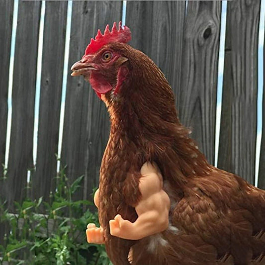 banana ducks chicken with muscular arms against a wooden fence background 
