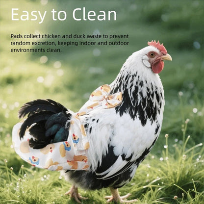 Chicken wearing a diaper with text about easy cleaning and waste collection.